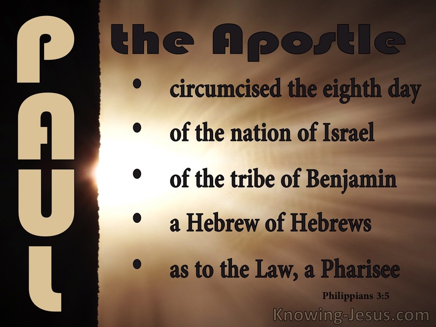 Philippians 35 Paul The Apostle (brown)