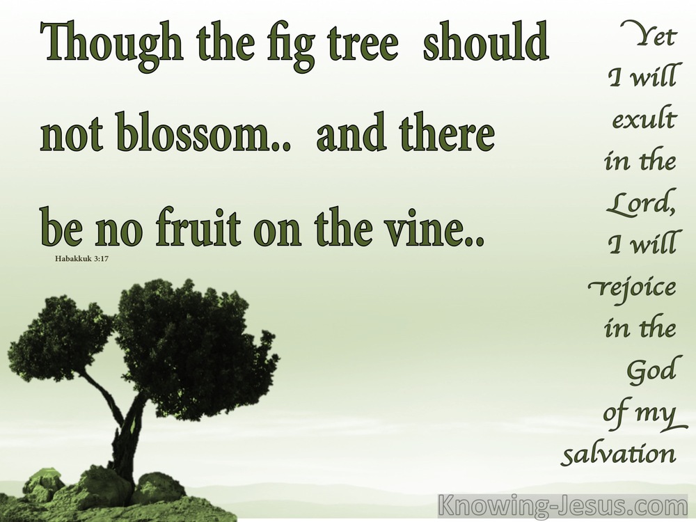 27 Bible Verses About Olive Trees 