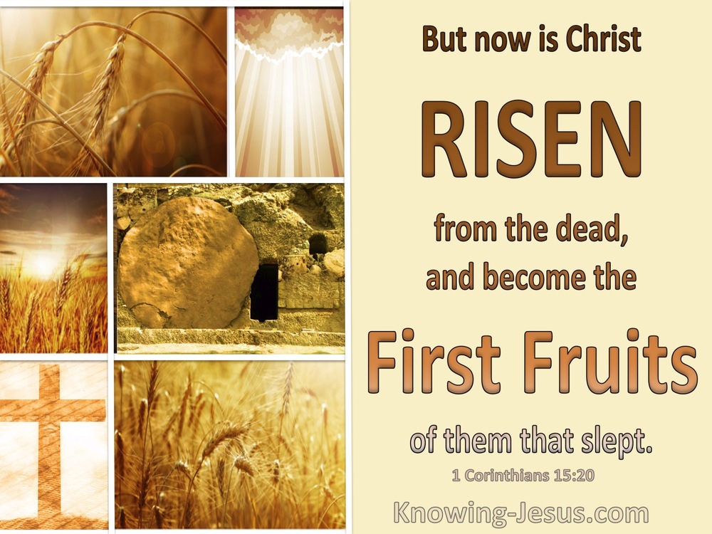 28 Bible verses about First Fruits