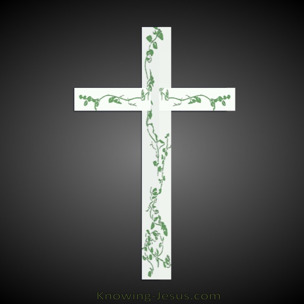 CROSS Vines (green)