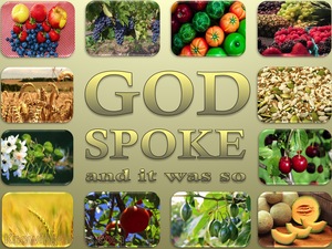 Genesis 1:11 Let The Earth Sprout Vegetation (beige)