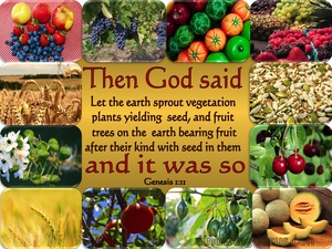 Genesis 1:11 Let The Earth Sprout Vegetation (gold)