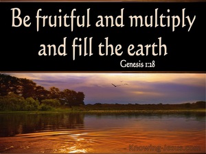Genesis 1:28 Be Fruitful And Multiply (black)