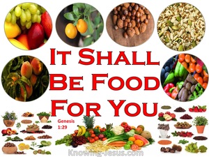 Genesis 1:29 It Shall Be Food For You (red)