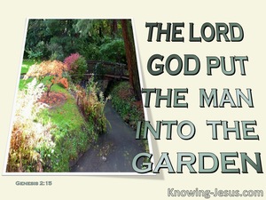 Genesis 2:15 Cultivate And Keep The Garden (sage)