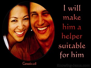 Genesis 2:18 I Will Make Him A Suitable Helper (red)