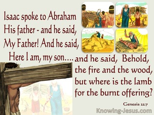 Genesis 22:7 Where Is The Lamb For A Burnt Offering (gray)