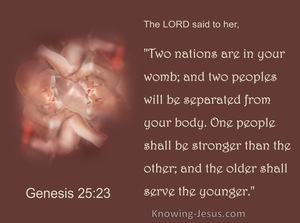Genesis 25:23 Two Nations Are In Your Womb (brown)