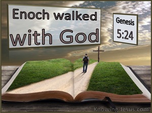 Genesis 5:24 Enoch walked with God; and he was not, for God took him.