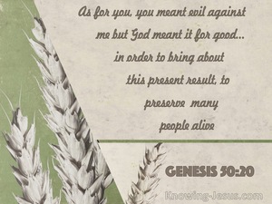 Genesis 50:20 God Meant It For Good (sage)