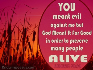 Genesis 50:20 Good From Evil (red)