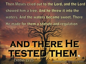 Exodus 15:25 the Lord showed him a tree (brown)