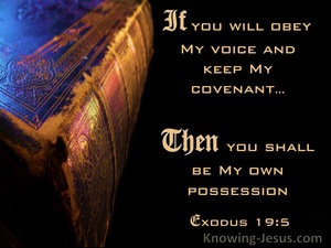 Exodus 19:5 If You Will Obey My Voice Then You Will Be My Possession (blue)
