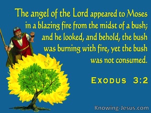 Exodus 3:2 The Angel Of The Lord Appeared To Moses In The Burning Bush (blue)