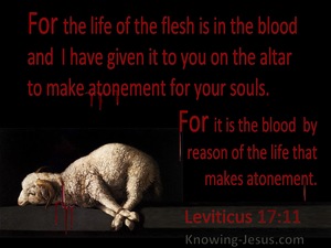 Leviticus 17:11 The Life Of The Flesh Is In The Blood (black)
