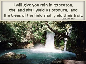 Leviticus 26:4 I Will Give You Rain In Due Season (windows)04:03