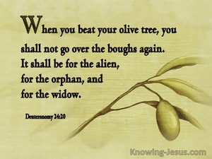 bible verse about widows and orphans