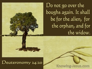 Deuteronomy 24:20 It Shall Be For The Alien The Orphan The Widow (sage)