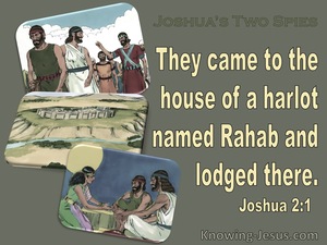 Joshua 2:1 They Came To The Houese Of A Harlet Named Rahab (sage)