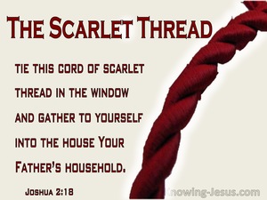 Joshua 2:18 Tie The Cord Of Scarlet In The Window (maroon)