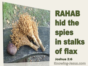 Joshua 2:6 Rahab His The Spies In The Stalks Of Flax (green)