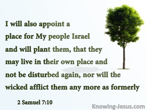 2 Samuel 7:10 He Will Plant Israel In Their Own Land (white)