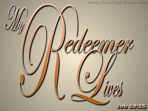 Job 19:25 My Redeemer Lives (beige)