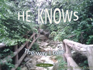 Job 23:10 He Knows The Way I Take (green)