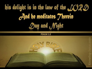 Psalm 1:2 He Delights in the Law of the Lord (gold)