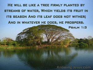 Psalm 1:3 He Will Be Like A Tree Planted By Streams Of Water (blue)