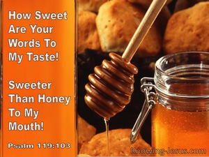 Psalm 119:103 You How Sweet Are Your Words To My Taste Sweeter Than Honey To My mouth (orange)