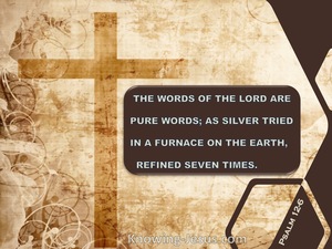 Psalm 12:6 The Words Of The Lord Are Pure (beige)