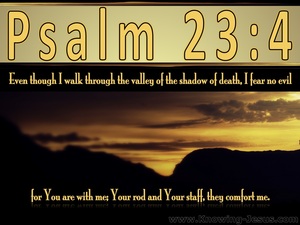Psalm 23:4 The Valley Of The Shadow of Death (yellow)