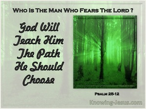 Psalm 25:12 What Man Is He That Fears The Lord (sage)