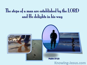 Psalm 37:23 The Lord Establishes the Steps of a Man (blue)