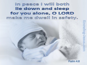 Psalm 4:8 The Lord Makes Me Dwell In Safety (blue)