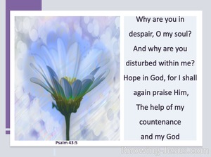 Psalm 43:5 Why Are You In Despair (purple)