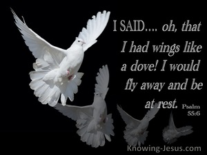 Psalm 55:6 Oh That I Had Wings Like A Dove (black)