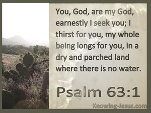Psalm 63:1 Earnestly I Seek You (sage)