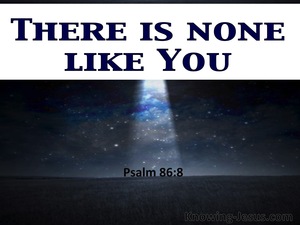 Psalm 86:8 There Is None Like You (white)