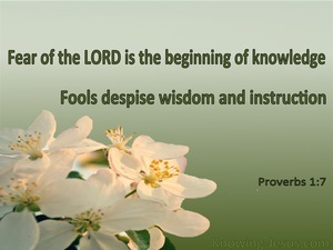 Proverbs 1:7 The Fear Of The Lord (green)