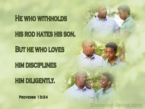 Proverbs 13:24 He Who Withholds His Rod Hates His Son (sage)