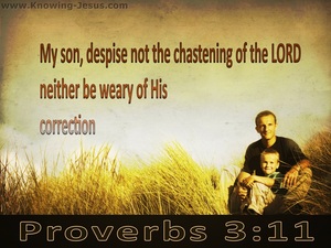 Proverbs 3:11 Do Not Despise The Lord's Correction (brown)