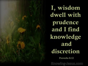 Proverbs 8:12 Wisdom Dwells With Prudence (black)
