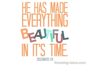 Ecclesiastes 3:11 He Has Made Eerything Beautiful In Its Time (white)