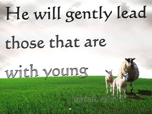 Isaiah 40:11 Like A Shepherd He Will Gently Lead Those With Young (white)