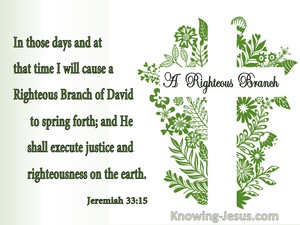 Jeremiah 33:15 A Righteous Branch of David (green)