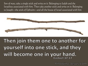 Ezekiel 37:17 Then Join Them For Yourself One To Another Into One Stick (brown)