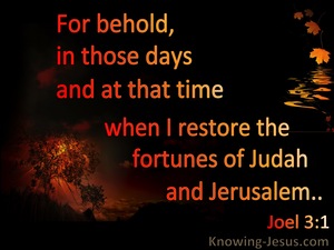 Joel 3:1 In The Day Of The Lord I Will Restore The Fortune Of Judah (black)