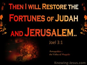 Joel 3:1 In The Day Of The Lord I Will Restore The Fortune Of Judah (orange)